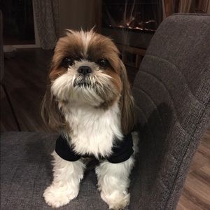 Meet your Posher, Rochelle